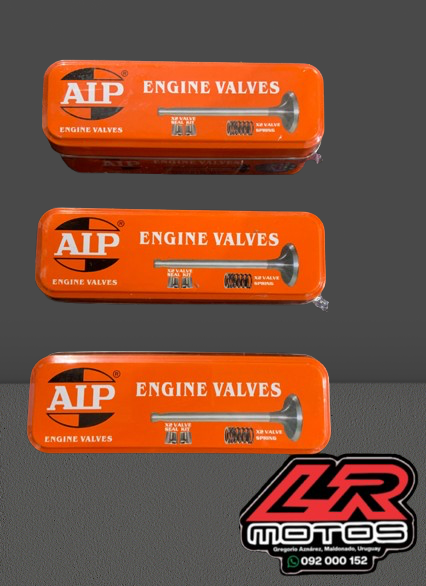 Válvulas juego AIP (110cc;125cc;200cc)